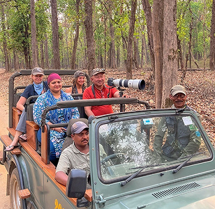 Jungle Safari
