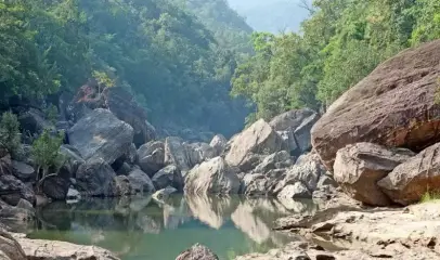 Photo of the scenic wilderness landscape of Satpura National Park featuring dense forests and natural jungle surroundings.